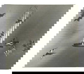 STROBOSCOPIC PHOTO BY INVENTOR DOC EDGERTON: Hummingbirds, gelatin silver print from negative taken by Harold Eugene 'Doc' Edgerton (1903-1990), AKA 'Papa Flash' who received the patent (one of his 45) for the stroboscope--a high-powered repeata