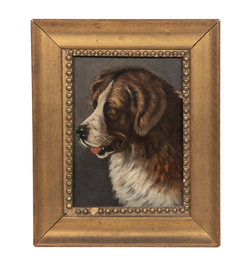 19TH C. OIL PAINTING OF SAINT BERNARD DOG: Brown and White Fur, tongue out, head only, oil on Boston academy board, unsigned, circa 1880.OS: 11 x 9 in. (27.9 x 22.9 cm.), SS: 7 1/2 x 5 1/2 in. (19.1 x 14 cm.)