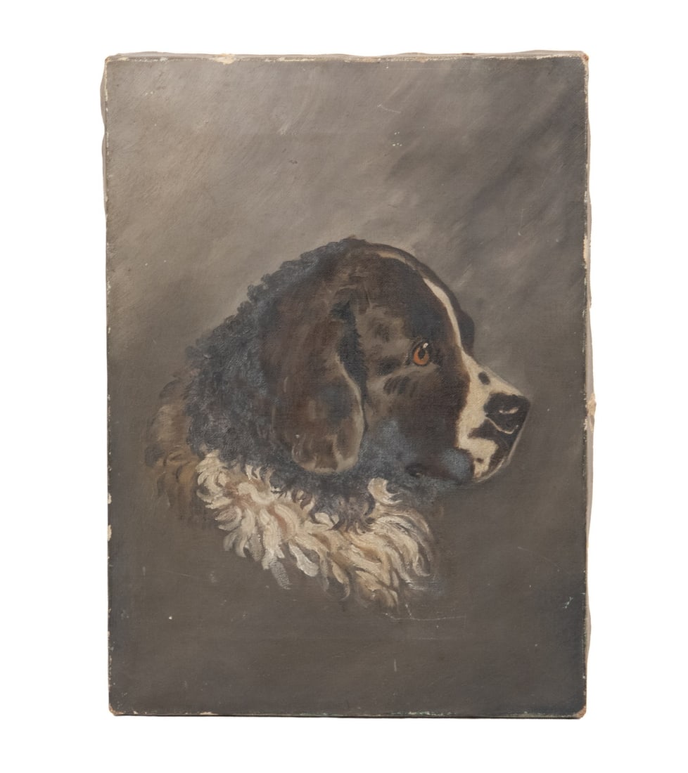 19TH C. OIL PAINTING OF SAINT BERNARD DOG: Black and White Fur, facing right, head only, oil on canvas unsigned, circa 1890, unframed.OS: 14 x 10 in. (35.6 x 25.4 cm.)