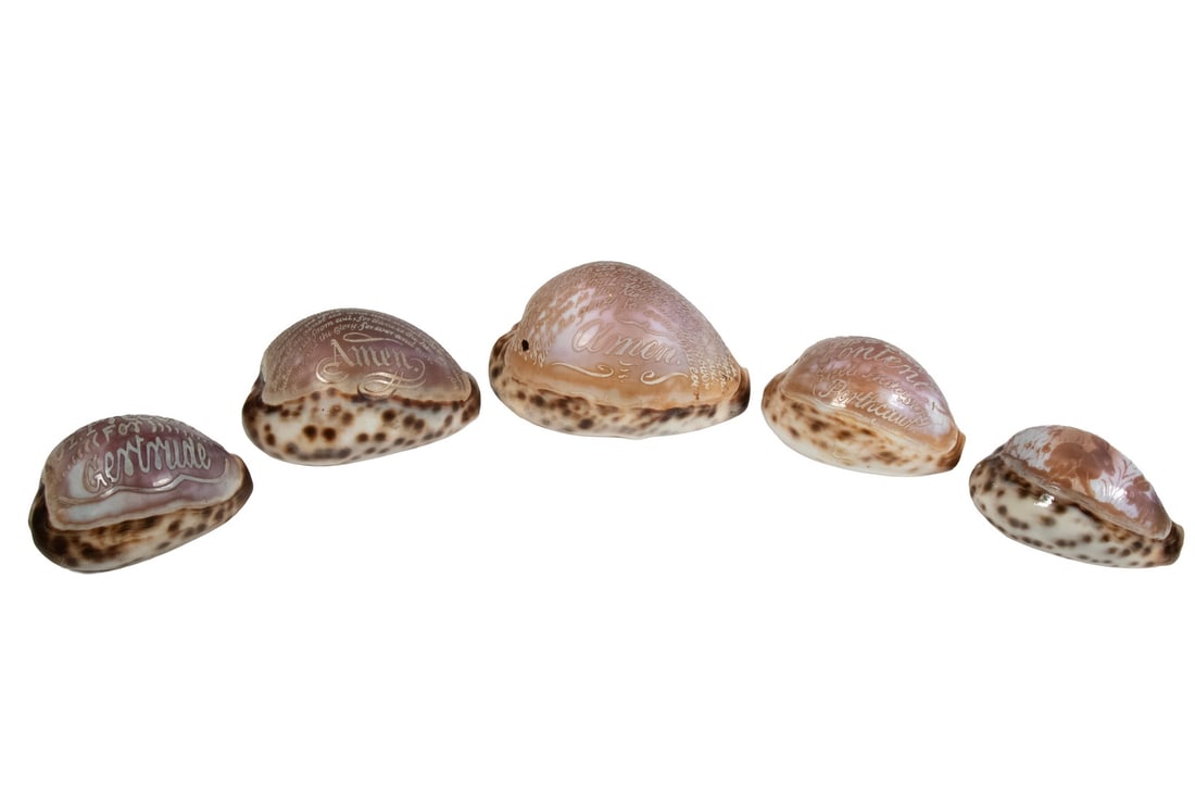 (5) ENGRAVED COWRIE SHELLS, INCLUDING CHRISTIAN PRAYER AND ANIMAL MOTIF: A group of five cowrie shells with surface carvings and inscriptions. Four feature hand-carved texts, including two full renditions of the Lord’s Prayer ending with "Amen," The fifth shell is