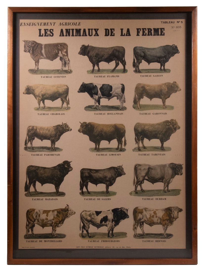 LES ANIMAUX DE LA FERME POSTER (1 of 3)