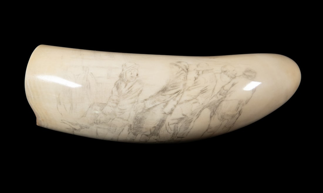 LARGE WHALE'S TOOTH W/ PRELIMINARY SCRIMSHAW DRAWING: Five Men Hauling a Line, sealed pencil drawing on polished tooth, gouged cross on upper edge, horizontal, no stand. 12.5 oz.Size: 5 1/2 in. (14 cm.)