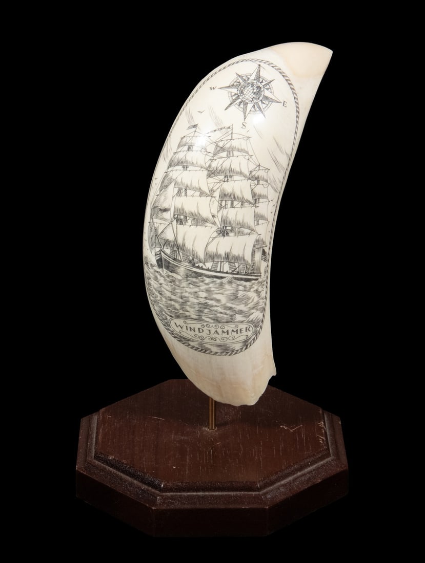 SCRIMSHAWN WHALE'S TOOTH OF WINDJAMMER: Bow View of Clipper Ship under full sail, with compass rose at top, oval rope border, captioned. 14.0 oz, with stand.Size: 6 1/2 in. (16.5 cm.)