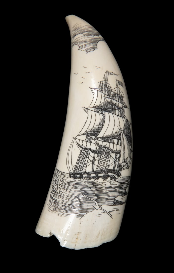 SMALL SCRIMSHAWN WHALE'S TOOTH OF WHALING SHIP: Whaler under partial sail, bow to starboard view, with seagulls and clouds above, ice shelf in foreground, unsigned, vertical, no stand. 5 oz.Size: 4 1/2 in. (11.4 cm.)