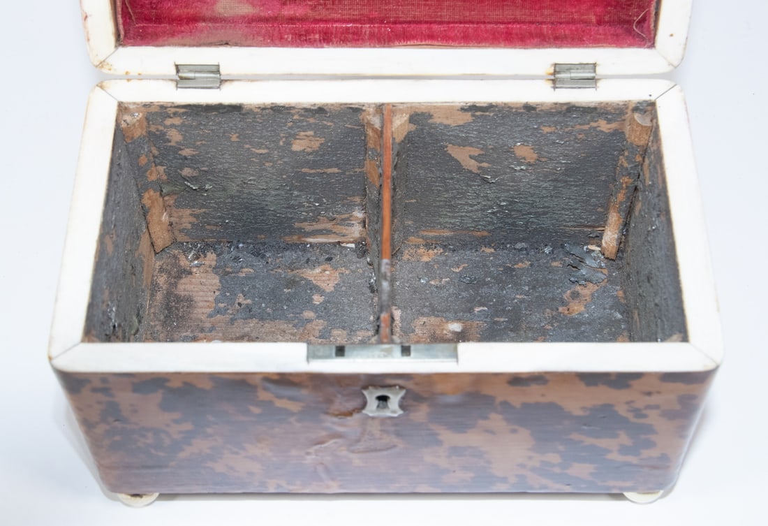 TORTOISESHELL TEA CADDY - 4