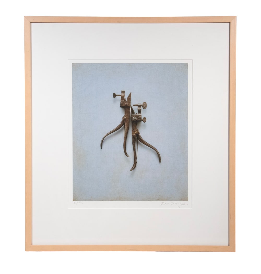 ALAN MAGEE (ME/PA, 1947 - ): Couplet, archival ink jet print, 2002, pencil signed and numbered 2/100, in birch box frame, in museum mat with mat and glass. OS: 24 x 22 in. (61 x 55.9 cm.), SS: 14 1/4 x 11 3/4 in. (36.2 x 29.8 cm.