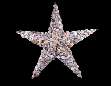LARGE SHELL ENCRUSTED STARFISH WALL PLAQUE WITH METAL FRAME