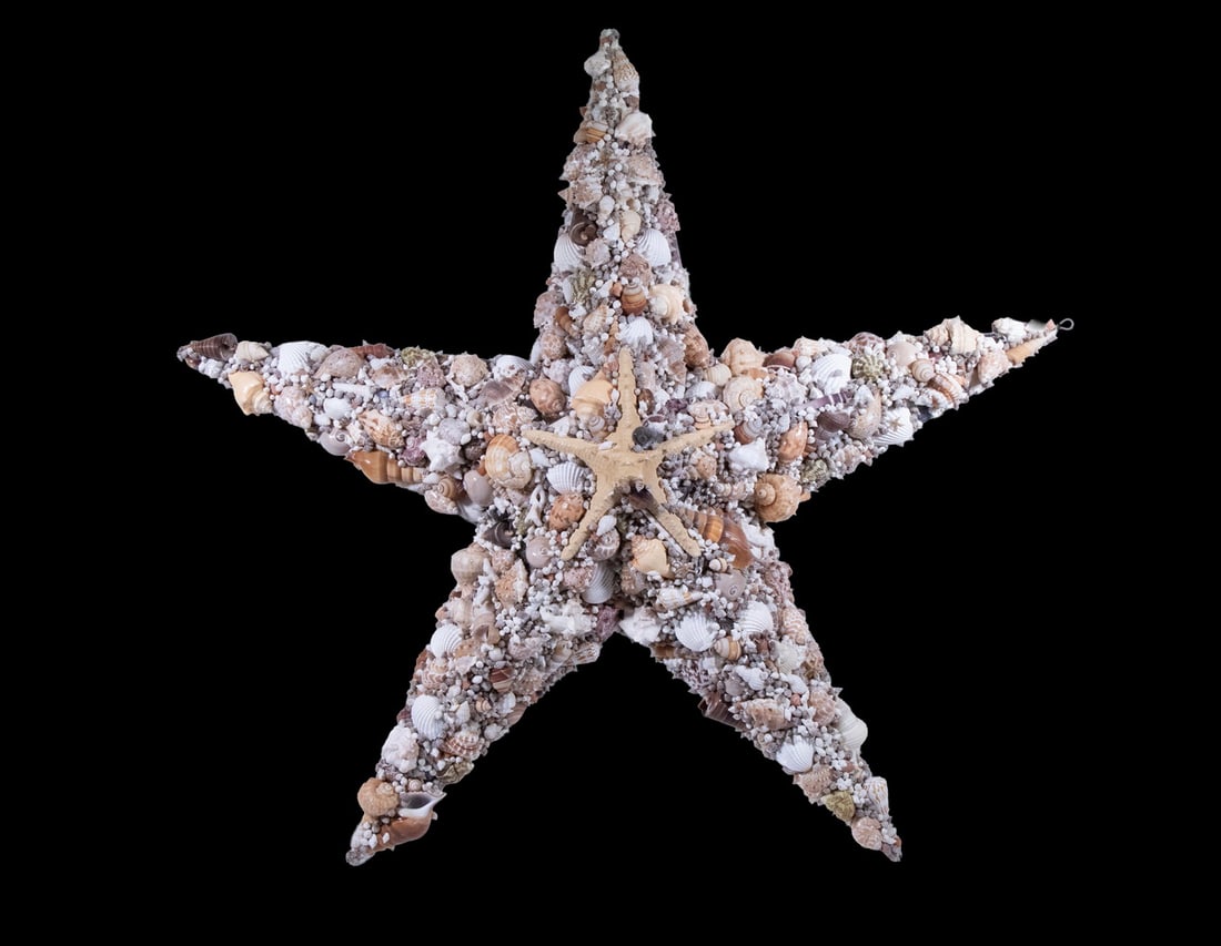 LARGE SHELL ENCRUSTED STARFISH WALL PLAQUE WITH METAL FRAME (1 of 1)