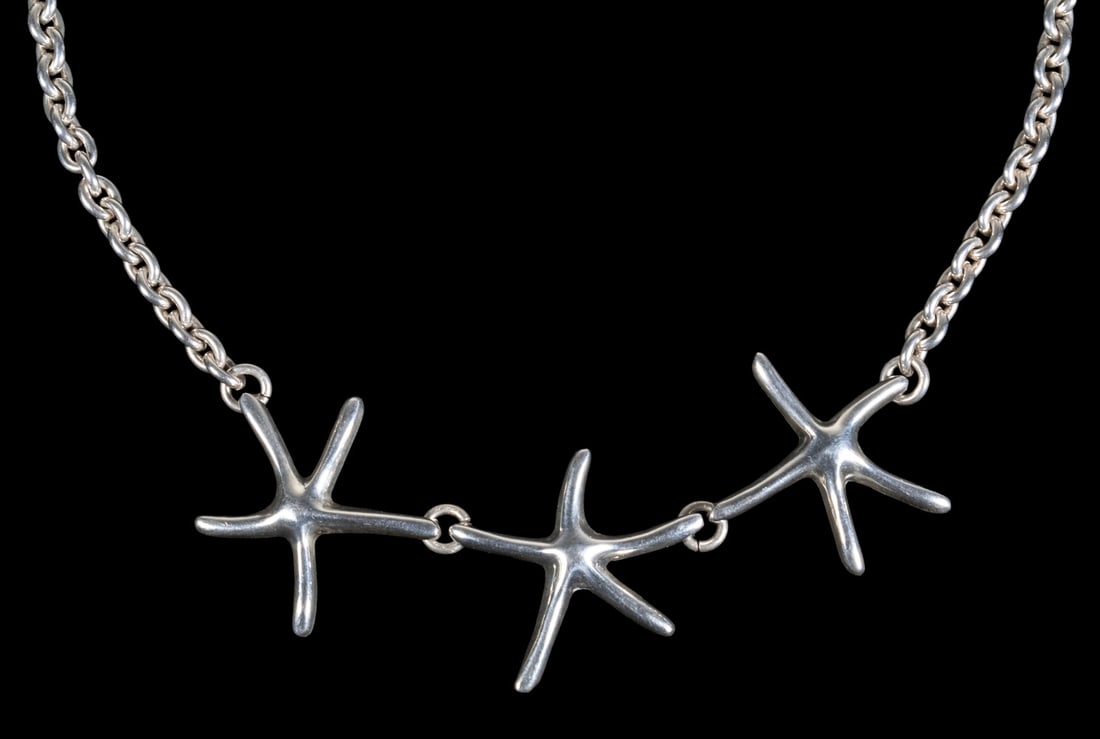 STERLING SILVER STARFISH LINK NECKLACE (1 of 2)