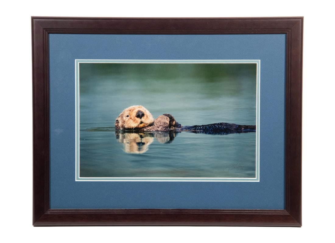 ROBERT OLSON (CONTEMPORARY, ALASKA): ROBERT OLSON (CONTEMPORARY, ALASKA) Happy Otter, color photo, signed lower right, dated '98, in black frame with blue mat under glass. OS: 14 x 18 in. (35.6 x 45.7 cm.), SS: 7 1/2 x 11 1/2 in. (19.1 x