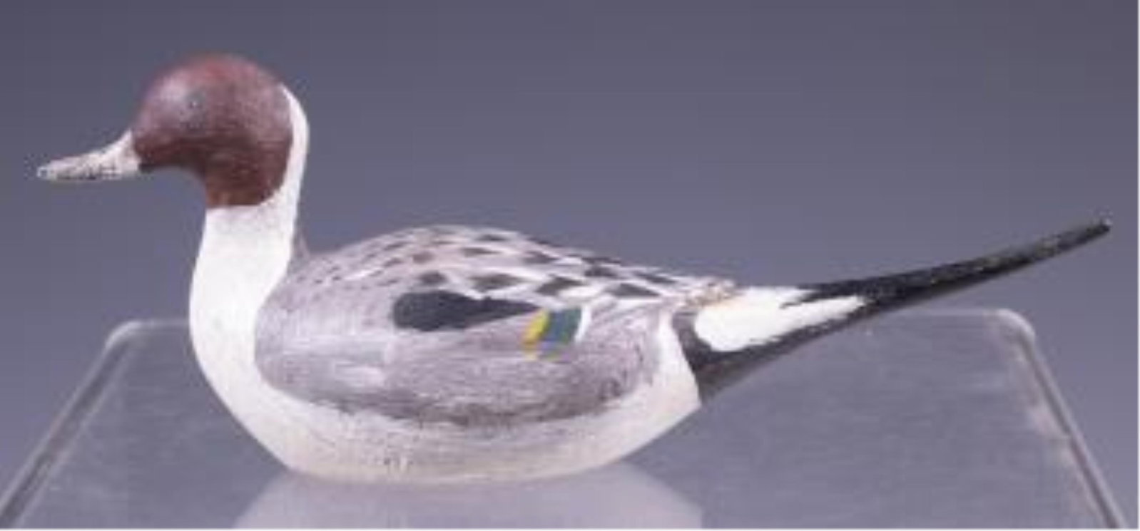 PINTAIL DRAKE, UNKNOWN MAKER (1 of 4)