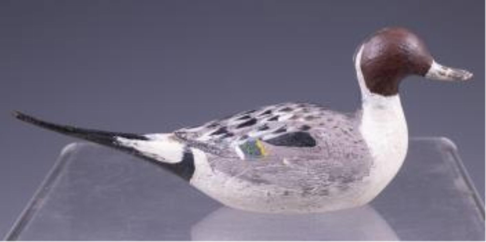 PINTAIL DRAKE, UNKNOWN MAKER - 2