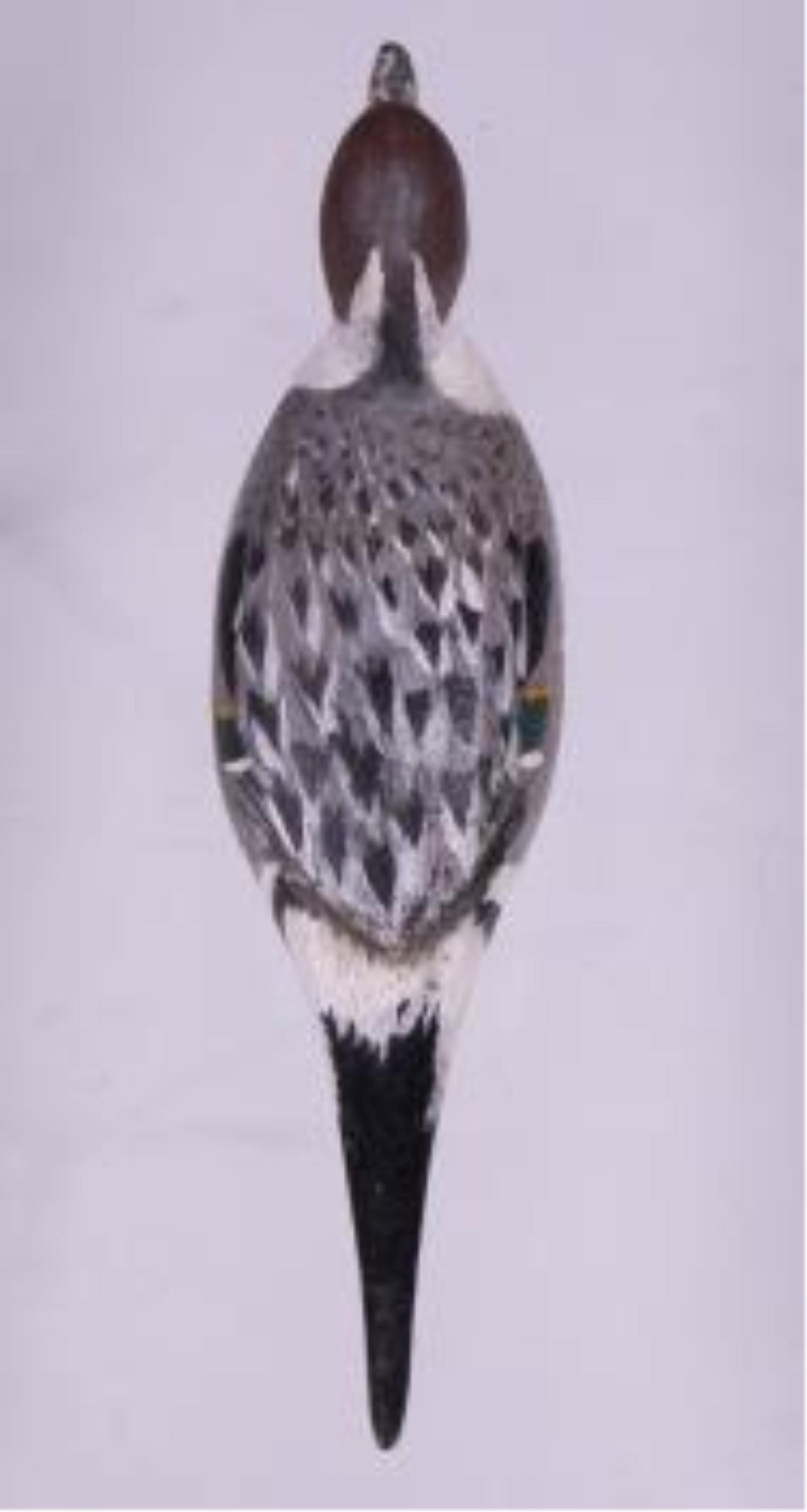 PINTAIL DRAKE, UNKNOWN MAKER - 3