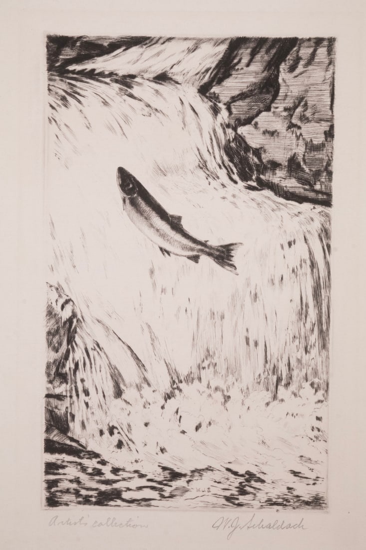WILLIAM JOSEPH SHALDACH (AZ/CT/IN, 1896-1982): WILLIAM JOSEPH SHALDACH (AZ/CT/IN, 1896-1982) "Salmon Leaping a Waterfall", drypoint etching,edition of 50, pencil signed and marked "Artist's Collection." Unframed, loose in folio. SS: 12 1/4 x 8