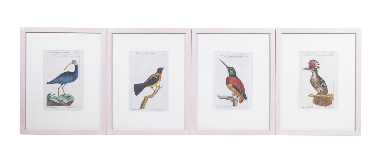 (4) 18TH-CENTURY GERMAN HAND-COLORED ORNITHOLOGICAL ENGRAVINGS AFTER BUFFON (1 of 4)