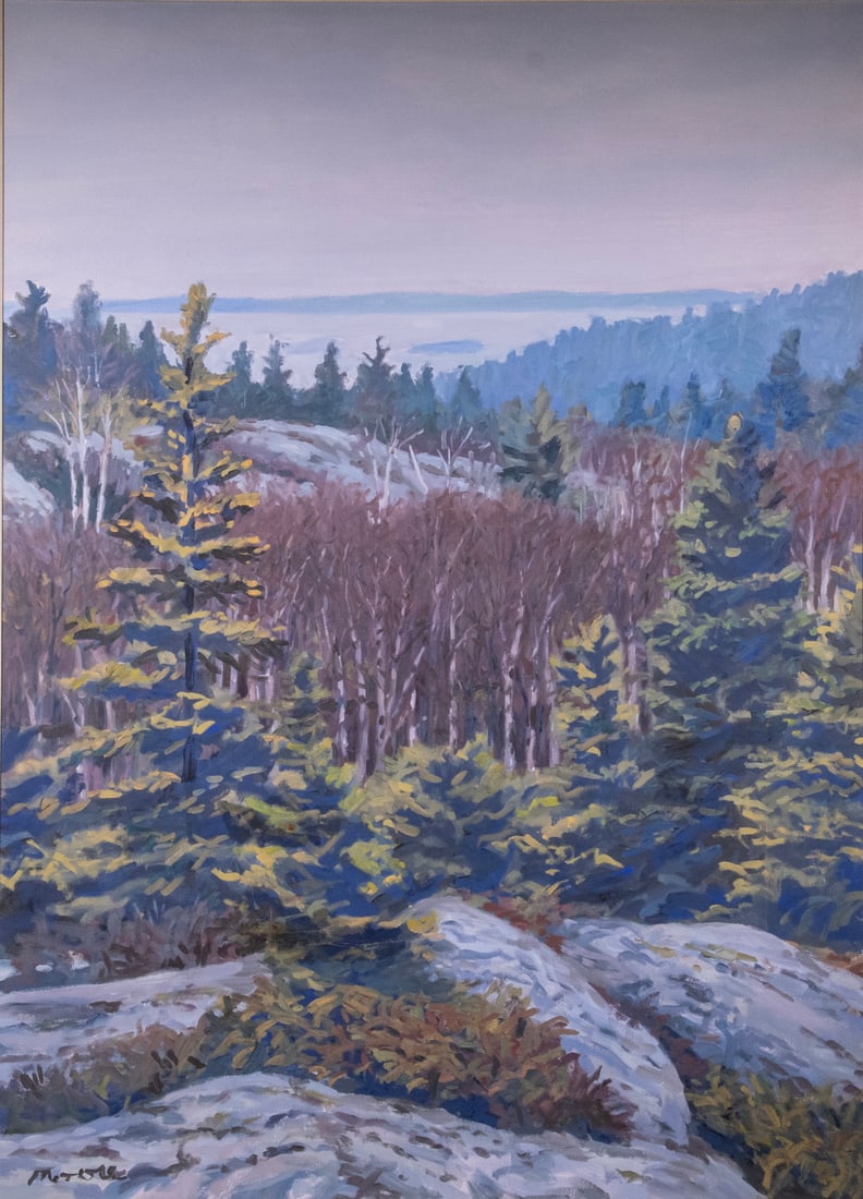 SCOTT MOORE (ME/DC, 1953 -) - 2