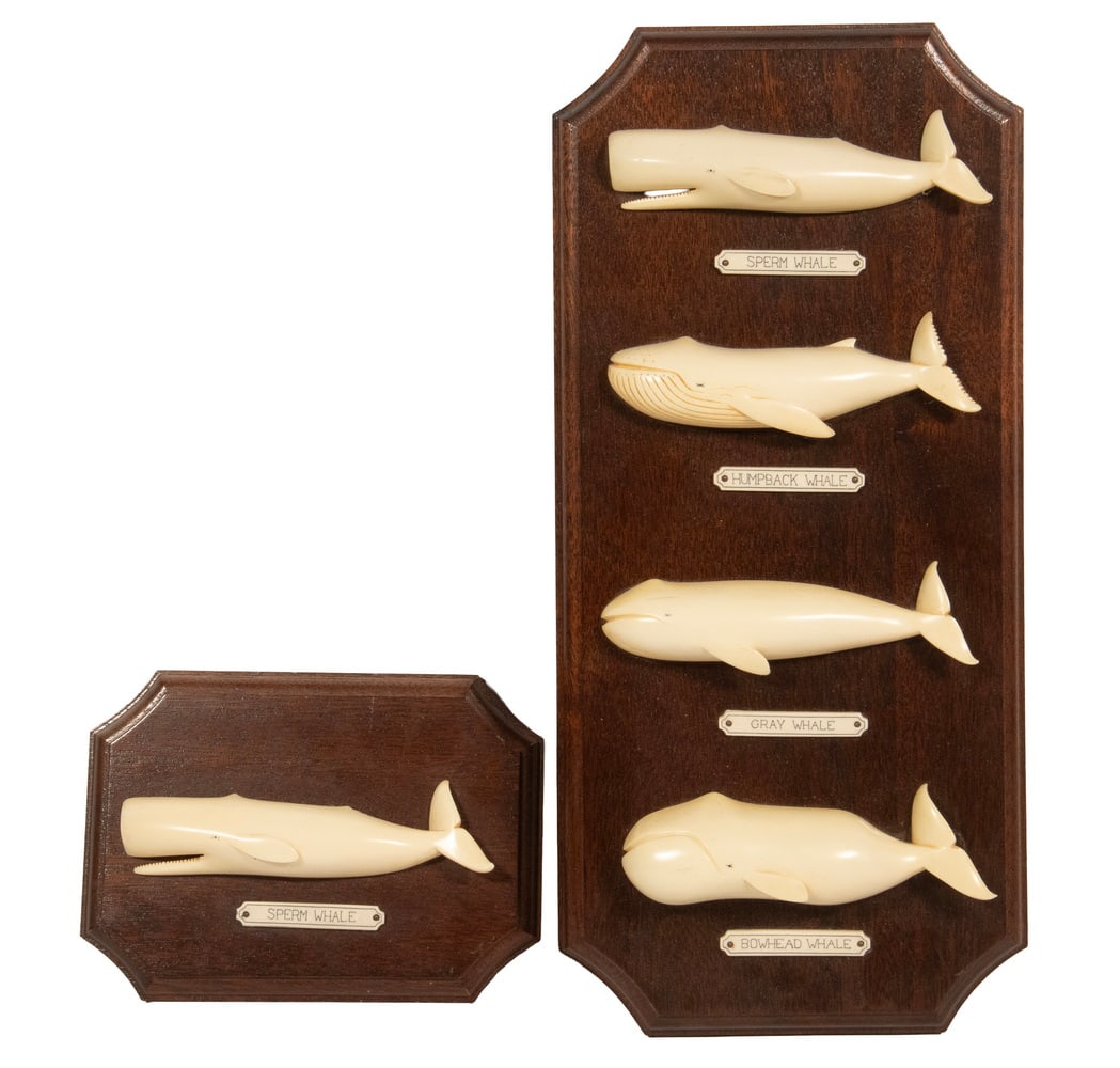 (2) ALTHEA MACY WHALE SPECIES WALL PLAQUES (1 of 1)