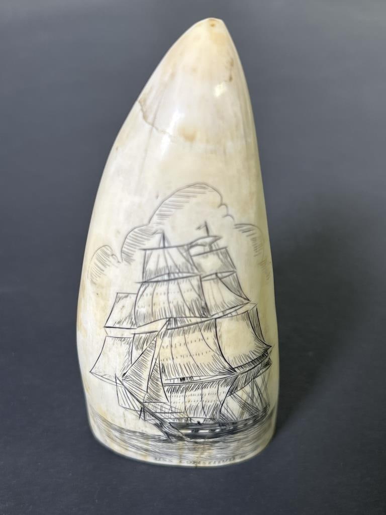 WHALES TOOTH USS CONSTITUTION: Y WHALES TOOTH USS CONSTITUTION One-sided Scrimshaw circa 1950, bow first view of the warship advancing under full sail. Unsigned. Length: 4 3/4 in. (12.1 cm.) CITES is a multilateral treaty to protec