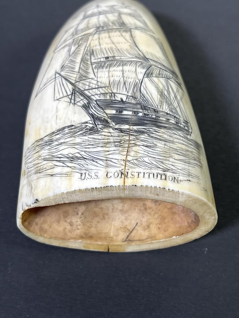 WHALES TOOTH USS CONSTITUTION - 3
