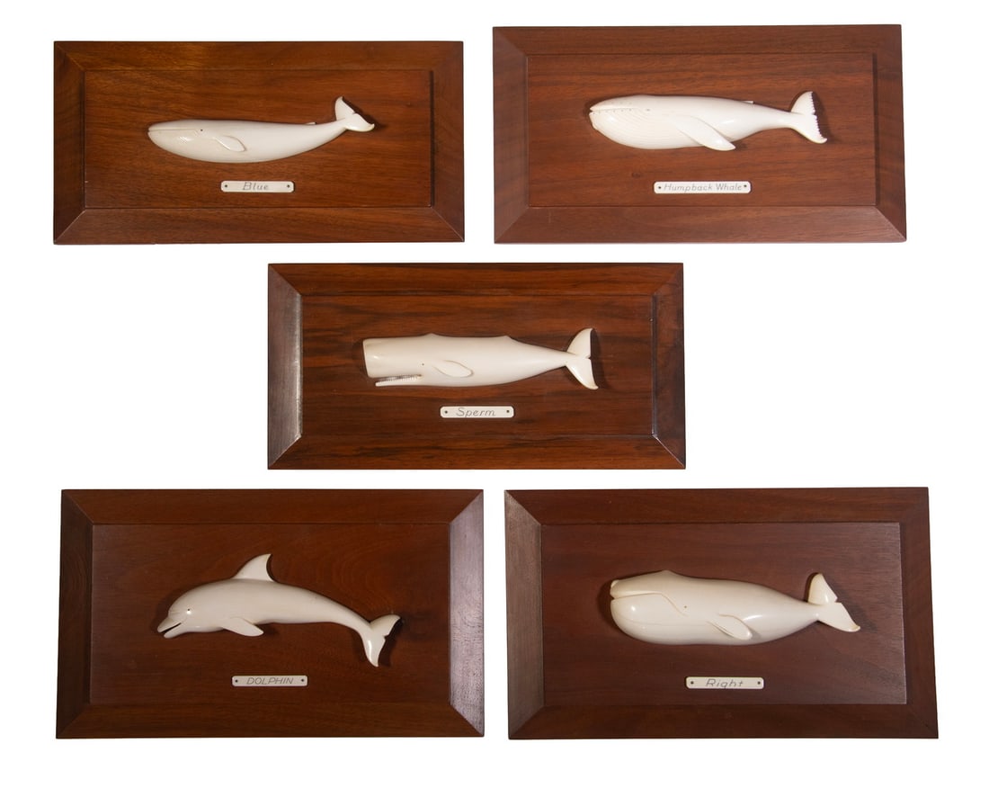 ALTHEA MACY (1901-1997) (5) IVORY RELIEF CARVINGS OF WHALES (1 of 6)