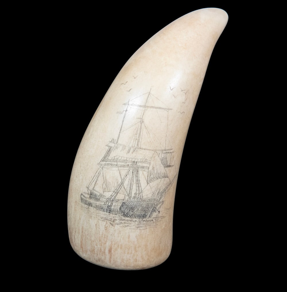 19TH C. SCRIMSHAW WHALE'S TOOTH (1 of 3)