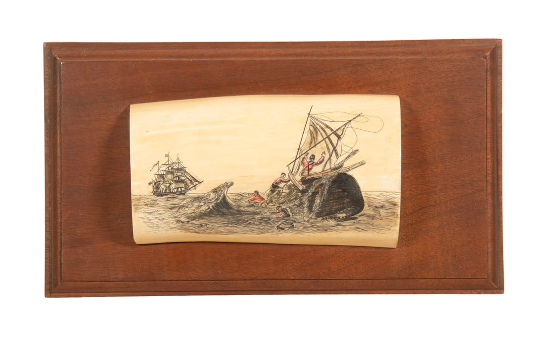 SCRIMSHAW MARINE IVORY BY ALTHEA MACY: Y SCRIMSHAW MARINE IVORY BY ALTHEA MACY Large Walrus Tusk Section scrimshawn with dynamic view of a whale destroying a longboat, casting four men into the air, their ship in the background. Mounted