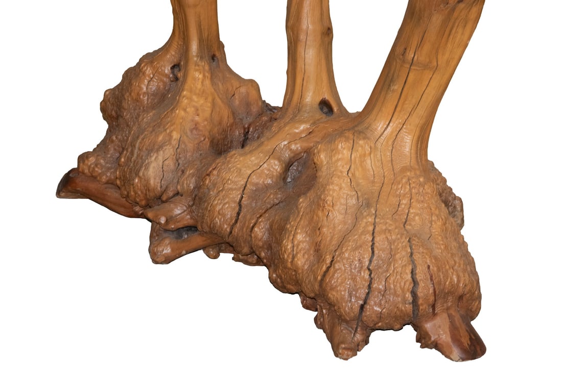 LIVE EDGE TEAK ROOT HALL TABLE - 2