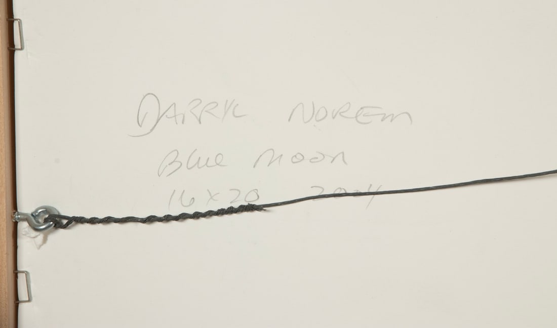 DARRYL NOREM (1949-2012) - 5