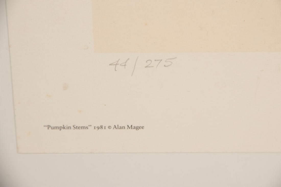 ALAN MAGEE (ME/PA, 1947 -) - 3
