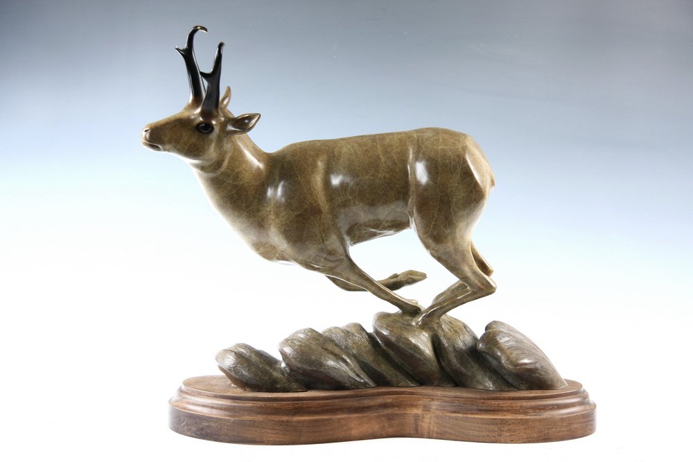 BRONZE SCULPTURE - Prong Horned Antelope by Robert: BRONZE SCULPTURE - Prong Horned Antelope by Robert Deurloo (Idaho, 1946 - ), signed on back and numbered 10/100, in variegated ochre colors, black horns and eyes, polished tips to horns, shaped and mo