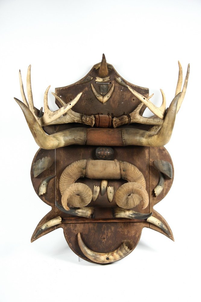 HORN DISPLAY - Ca 1880-90, trophy board displaying the: HORN DISPLAY - Ca 1880-90, trophy board displaying the horns and antlers of various deer, cow, sheep and a tortoise shell, set on a shaped backboard. 33" high, 27" wide, 15" deep, old dry surface.