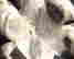 item-26722919=2