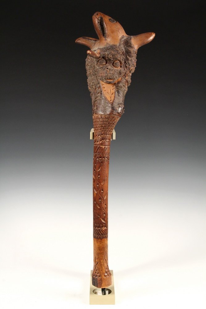 PENOBSCOT WAR CLUB - 19th c Maine Native Carved Figural: PENOBSCOT WAR CLUB - 19th c Maine Native Carved Figural Birch Root Club, featuring a snake head in full round between spikes and four shallow relief carved spirit faces in the bark at collar, most of