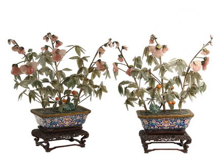 PAIR OF CHINESE JADE PLANTS IN CLOISONNE ON STANDS -: PAIR OF CHINESE JADE PLANTS IN CLOISONNE ON STANDS - Fine Quality Polychrome Cloisonne Jardinieres with brass trim, on handcarved wooden stands, circa 1900, with contemporary jade plants in pale green