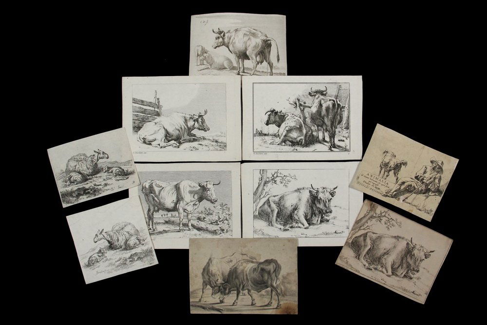 COLLECTION OF (25) DUTCH 17TH C LIVESTOCK ENGRAVINGS -: COLLECTION OF (25) DUTCH 17TH C LIVESTOCK ENGRAVINGS - All on laid or early wove paper, loose, including: (5) of Cattle by Karel Dujardin (Netherlands/Italy, 1626-1678), 3" x 4" to 5" x 5 3/4"; PLUS (