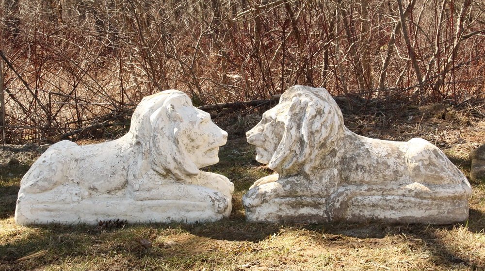 PAIR OF LARGE PAINTED GARDEN STATUES - Reclining Lions: PAIR OF LARGE PAINTED GARDEN STATUES - Reclining Lions in white painted cast stone, 17" x 27" x 9". Weathered.
