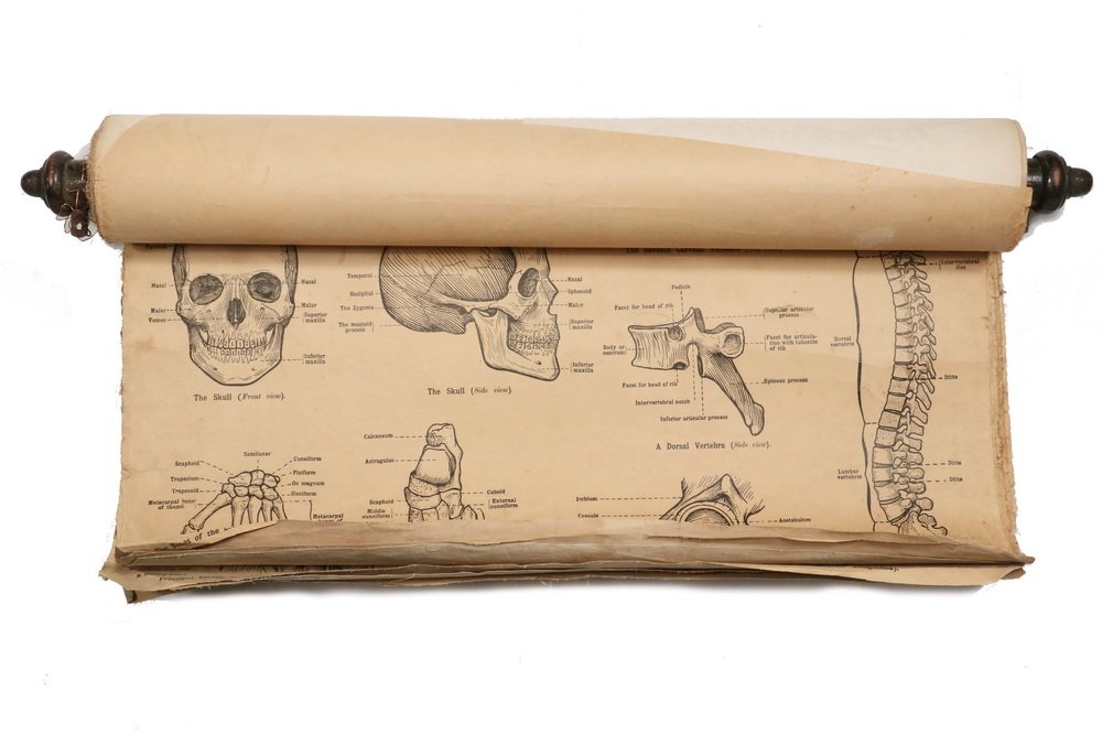 ROLL OF ANATOMY & PHYSIOLOGY ILLUSTRATIONS -: ROLL OF ANATOMY & PHYSIOLOGY ILLUSTRATIONS - "Illustrations of 'First aid' to the Injured and Sick", Bristol, John Wright & Sons; London, Simpkin, Marshall, Hamilton, King & Co., circa 1900, (19) shee
