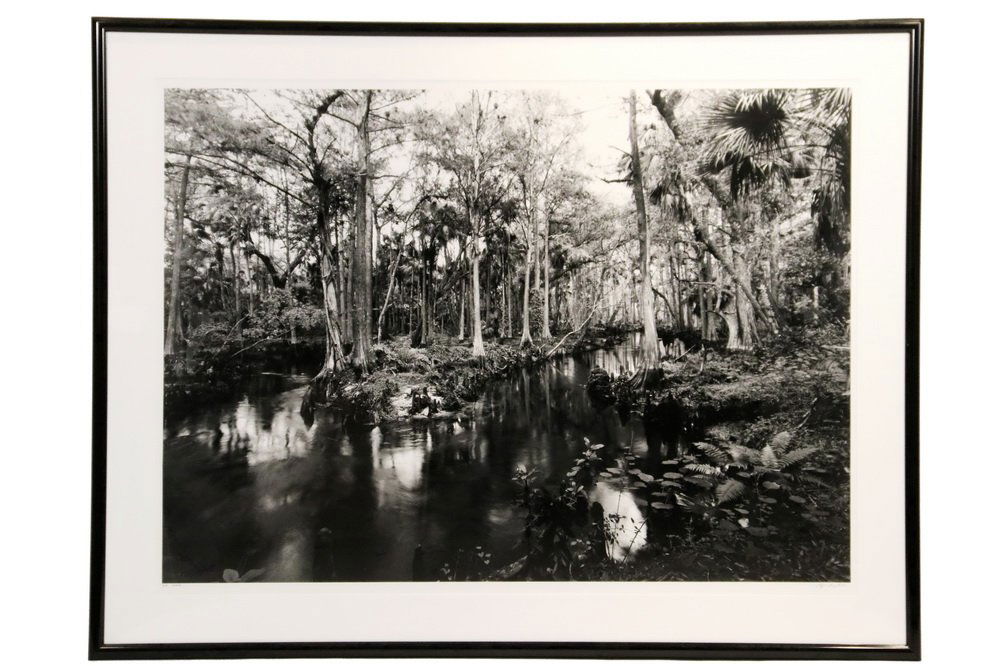 CLYDE BUTCHER (FL/CA, 1942 - ) - "Loxahatchee #9" (1 of 7)