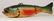 FOLK ART FISHING LURE - 2