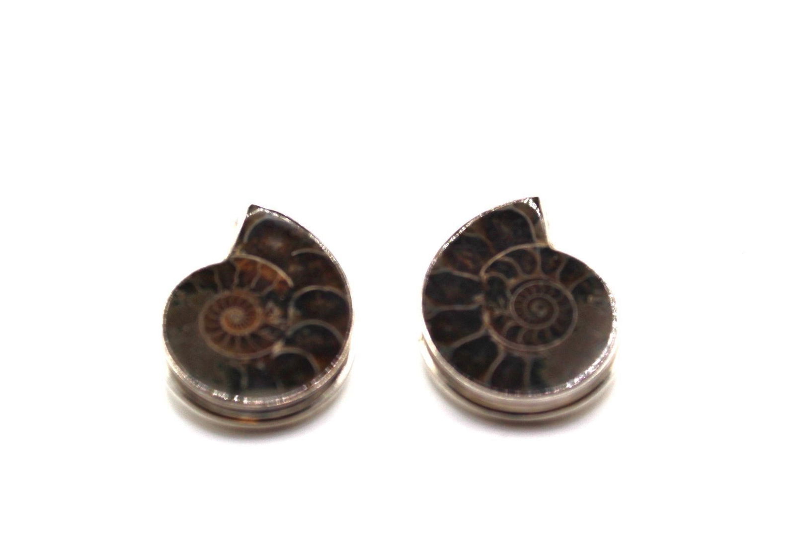 STERLING FOSSILIZED AMMONITE CLIP EARRINGS (1 of 4)