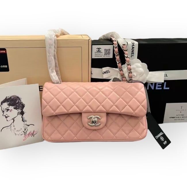 CHANEL Coral Pink/Silver Double Flap Beaute Bag & Original Box (1 of 7)