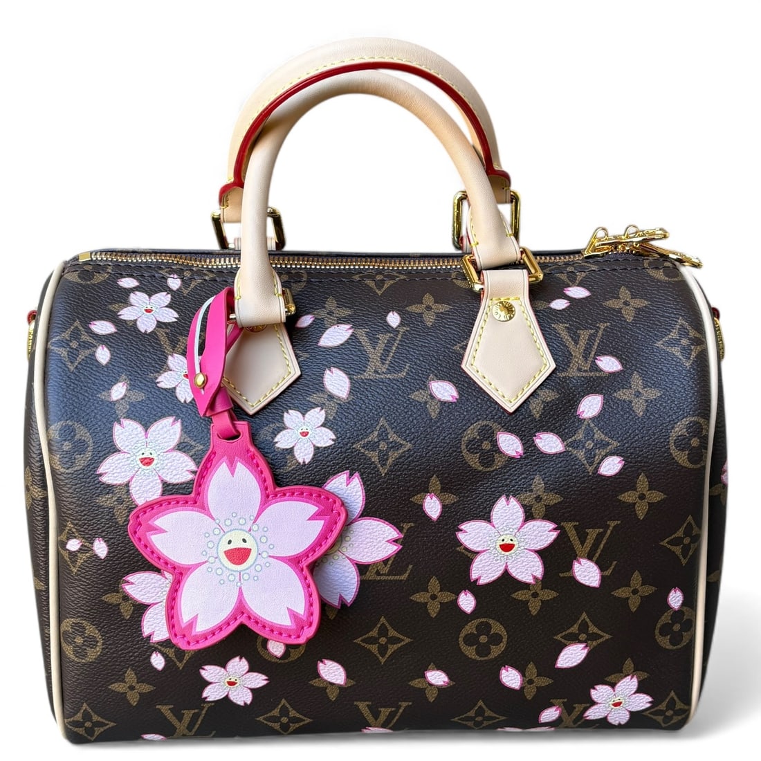 Louis Vuitton x TM Floral Accented Mono Speedy 25 Beaute Bag & Original Box (1 of 13)
