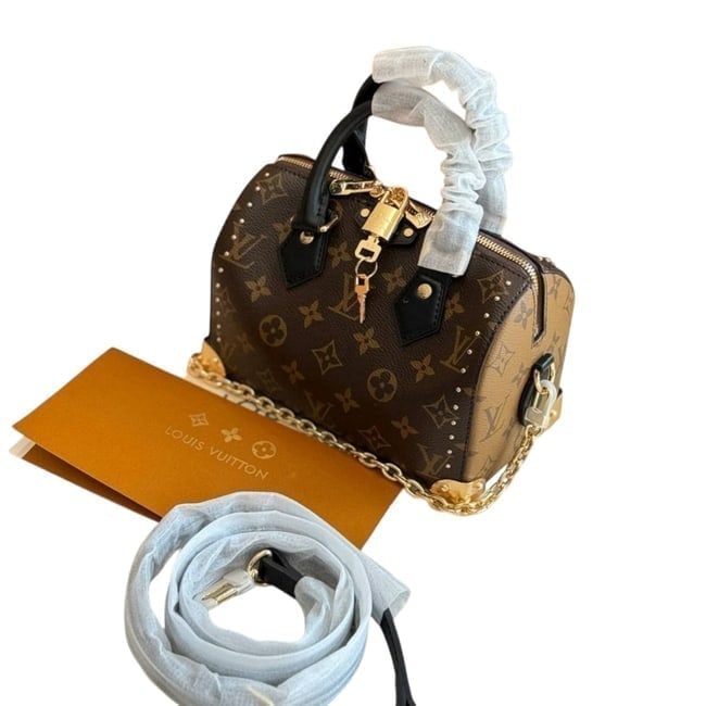 Louis Vuitton Reverse Mono/Gold Speedy 20 Trunk Beaute Bag, Strap, Lock/Key (1 of 10)