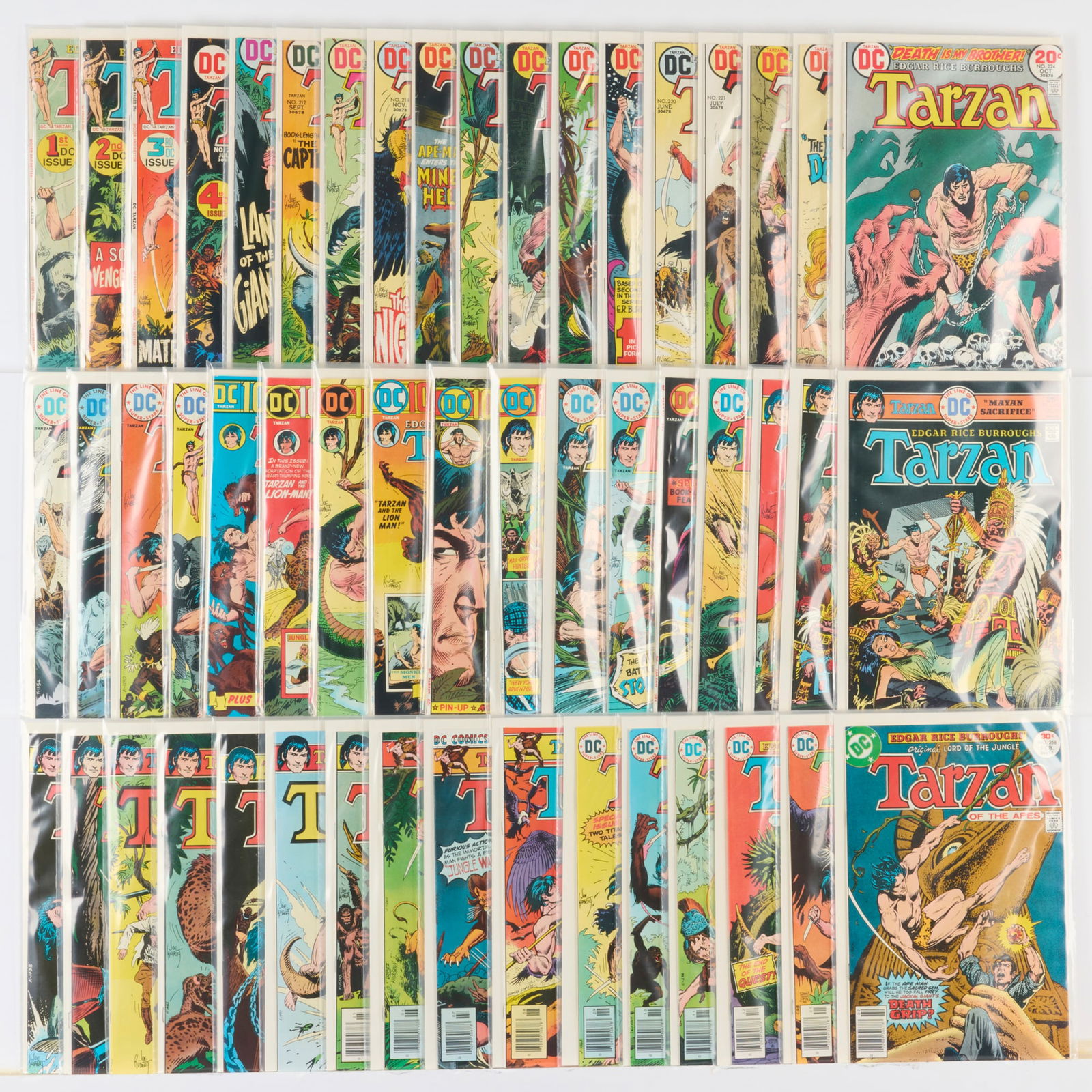 52 DC Comics Tarzan #207-#258 Group (1 of 1)