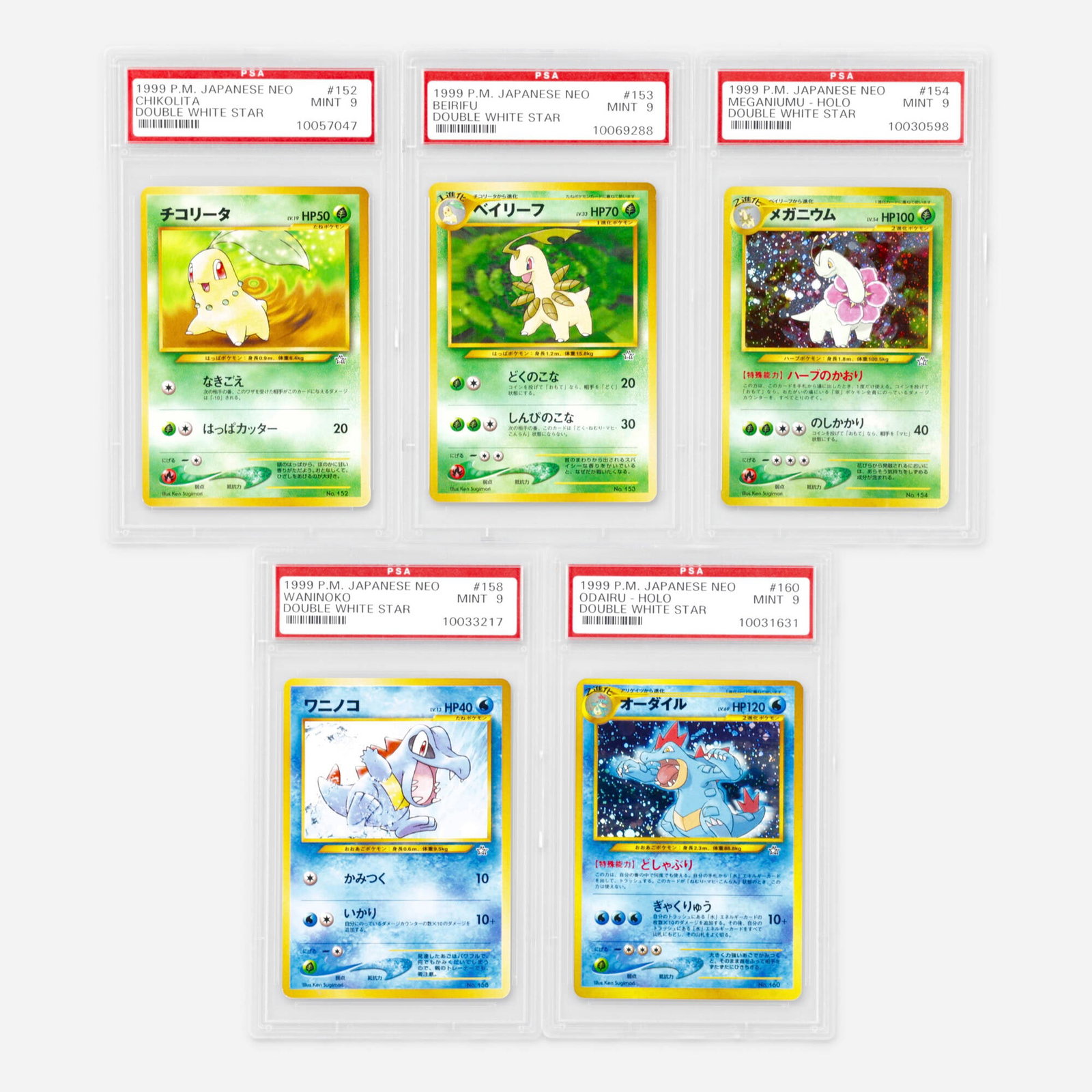 Five 1999 Pokemon Japanese Neo Double White Star PSA 9 Trading Card Group: Five 1999 Pokemon Japanese Neo Double White Star PSA 9 Trading Card Group Japan, 1999 1999 Pokemon Japanese Neo Double White Star 152 Chikorita [Chikolita] Trading Card PSA 9 PSA#: 10