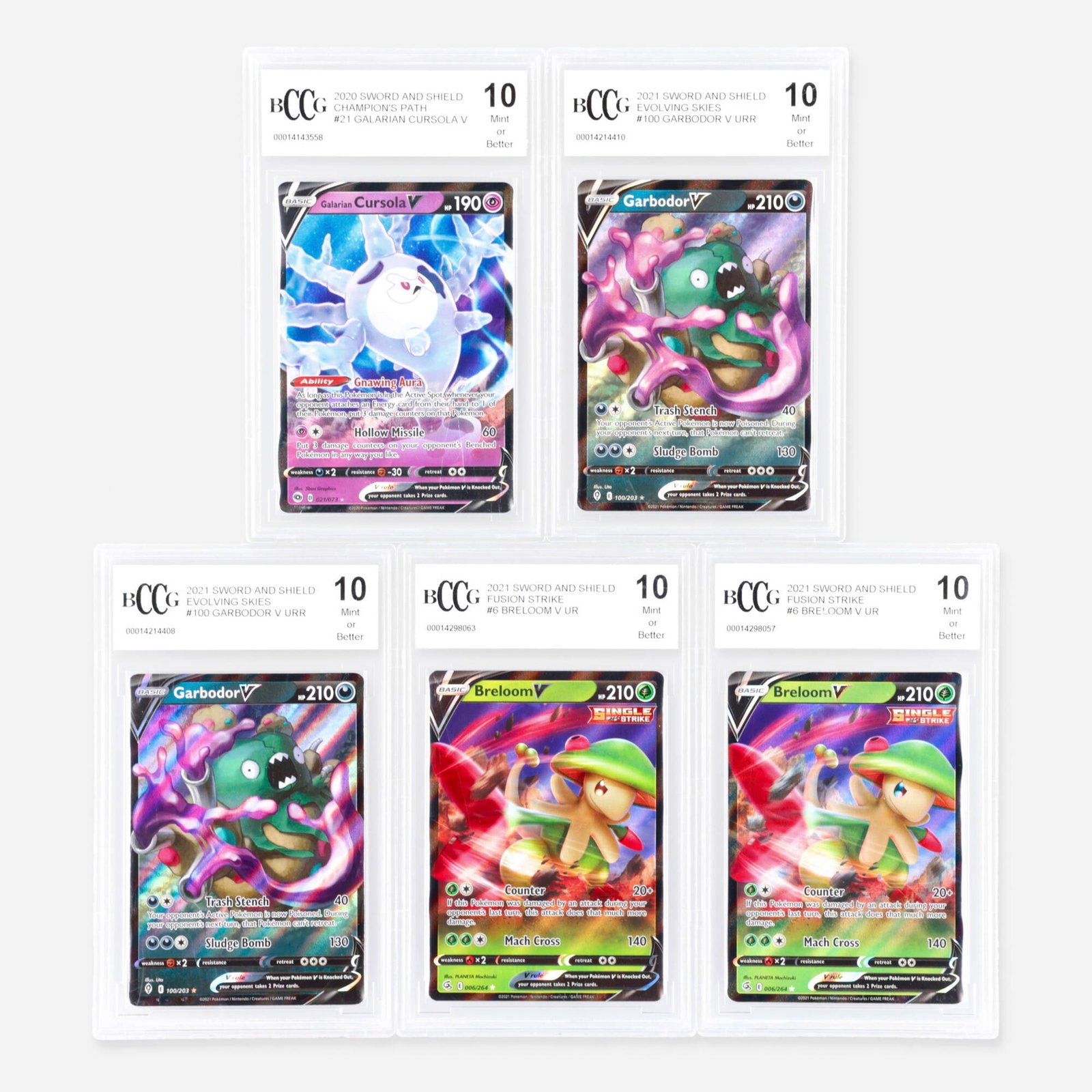2020-2021 Pokemon V BCCG 10 Trading Card Group (1 of 2)