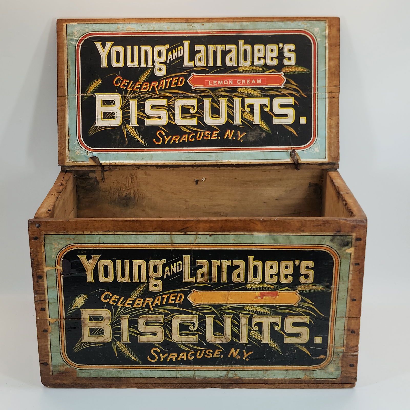 The Biscuit ICanRead Collection Box CD付 The Biscuit ICanRead Collection Box CD付
