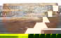 item-210394998=5