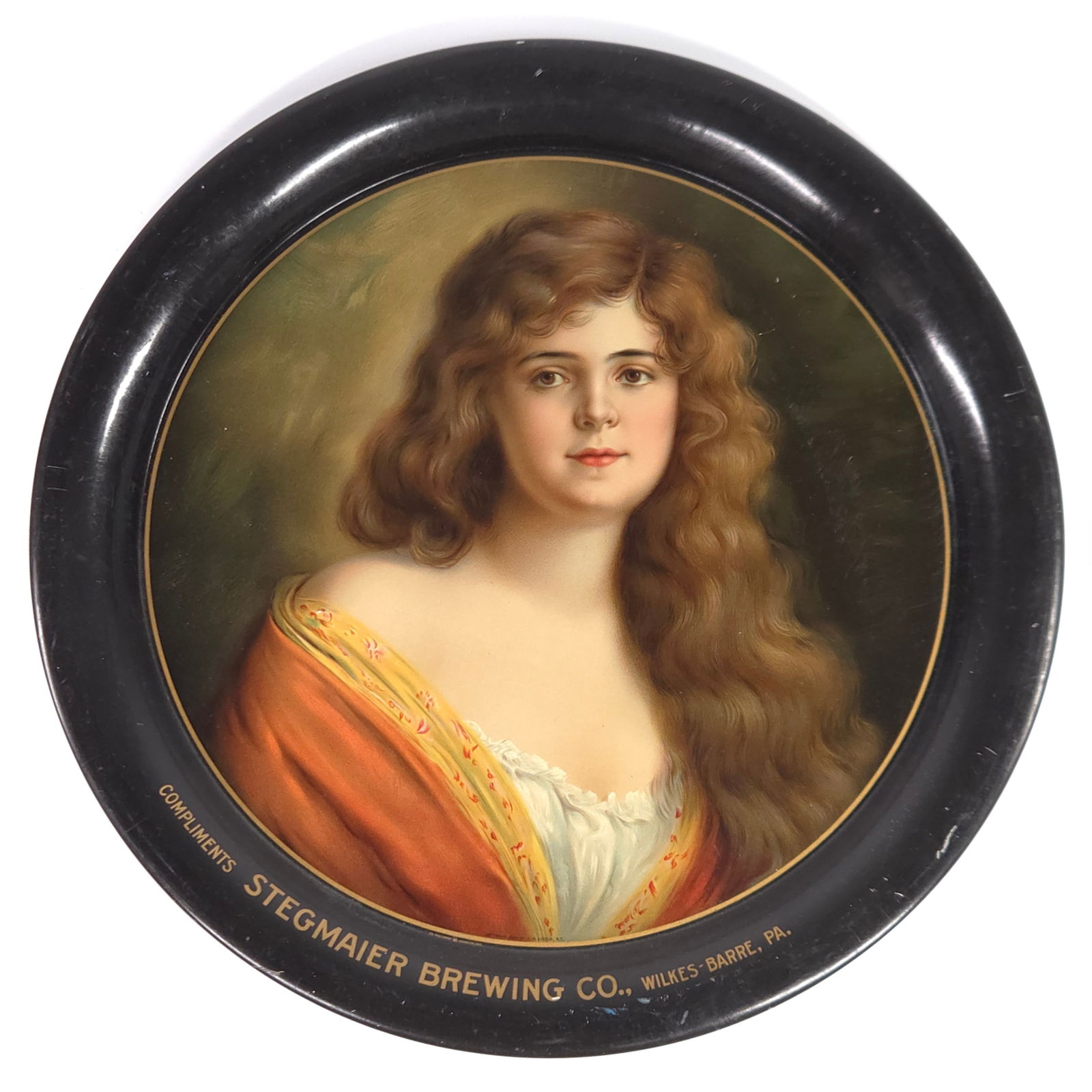 STEGMAIER BREWING CO. PICTURE TRAY (1 of 6)