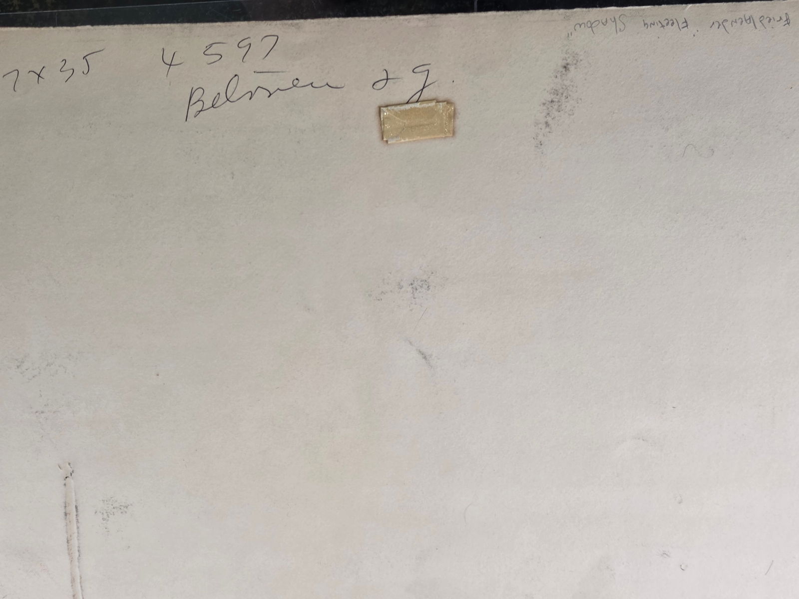 LEE FRIEDLANDER "FLEETING SHADOW" ORIGINAL - 4